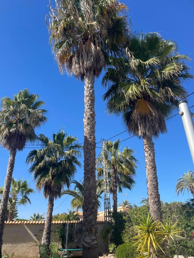 טורבייחה Palangre Beach Apartment מראה חיצוני תמונה